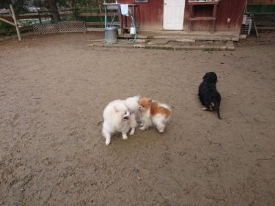 f:id:roukenhome-ann:20181217053527j:plain