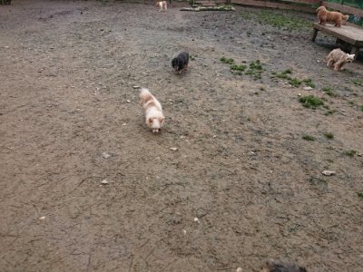 f:id:roukenhome-ann:20181219193112j:plain