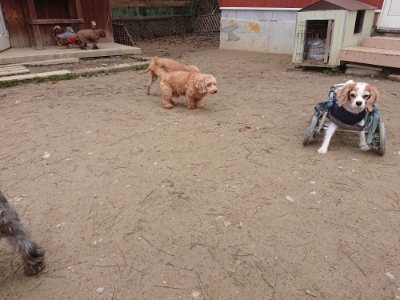f:id:roukenhome-ann:20181219214505j:plain