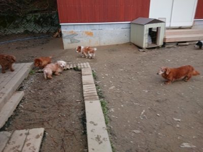 f:id:roukenhome-ann:20181222133342j:plain