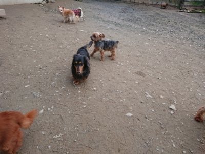 f:id:roukenhome-ann:20181222180603j:plain