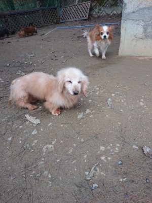 f:id:roukenhome-ann:20181222180719j:plain