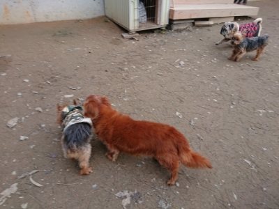 f:id:roukenhome-ann:20181222180738j:plain