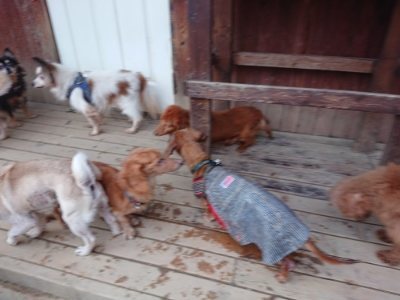 f:id:roukenhome-ann:20181222180756j:plain