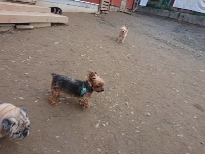 f:id:roukenhome-ann:20181222180819j:plain