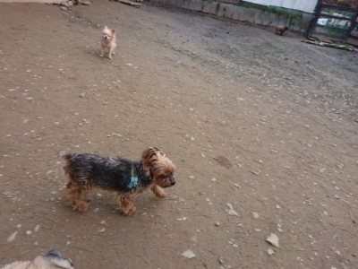 f:id:roukenhome-ann:20181222180832j:plain