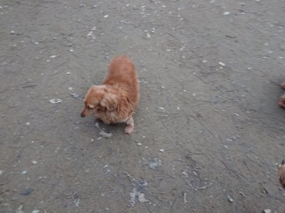 f:id:roukenhome-ann:20181222180935j:plain