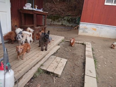 f:id:roukenhome-ann:20181222182450j:plain