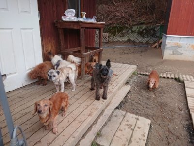 f:id:roukenhome-ann:20181222182455j:plain