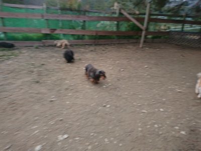 f:id:roukenhome-ann:20181222182521j:plain