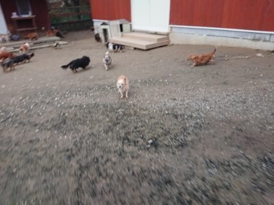 f:id:roukenhome-ann:20181222182537j:plain
