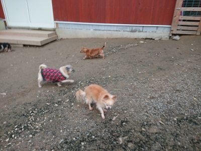 f:id:roukenhome-ann:20181222182545j:plain