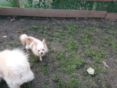 f:id:roukenhome-ann:20181222183232j:plain