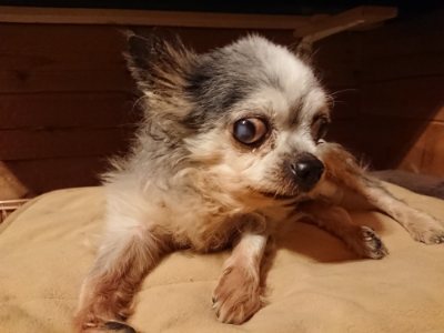f:id:roukenhome-ann:20181222183316j:plain