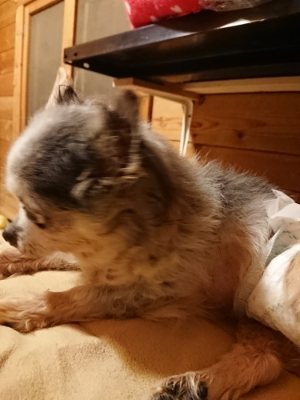 f:id:roukenhome-ann:20181222183344j:plain