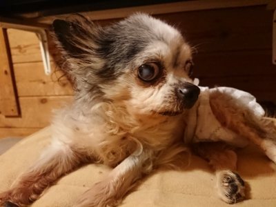 f:id:roukenhome-ann:20181222183421j:plain