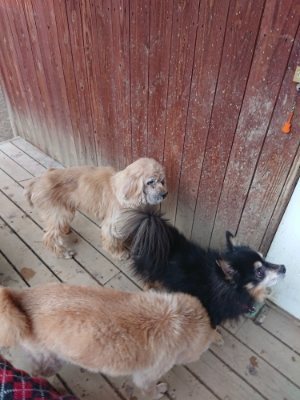 f:id:roukenhome-ann:20181222183512j:plain