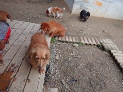f:id:roukenhome-ann:20181222183821j:plain