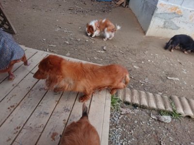 f:id:roukenhome-ann:20181222183849j:plain
