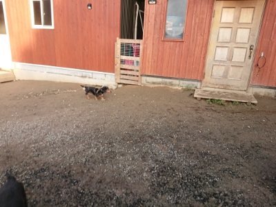 f:id:roukenhome-ann:20181222183855j:plain