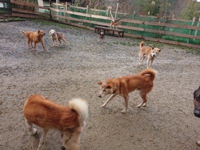 f:id:roukenhome-ann:20181224183301j:plain