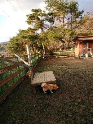 f:id:roukenhome-ann:20181224210048j:plain f:id:roukenhome-ann:20181224210048j:plain