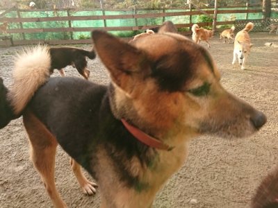 f:id:roukenhome-ann:20181224210102j:plain f:id:roukenhome-ann:20181224210102j:plain