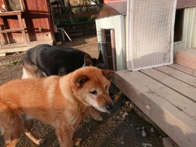 f:id:roukenhome-ann:20181224210107j:plain f:id:roukenhome-ann:20181224210107j:plain