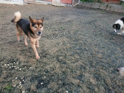 f:id:roukenhome-ann:20181224210121j:plain f:id:roukenhome-ann:20181224210121j:plain