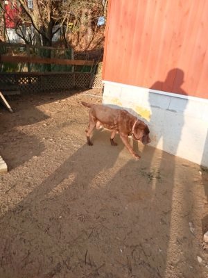 f:id:roukenhome-ann:20181224210201j:plain f:id:roukenhome-ann:20181224210201j:plain