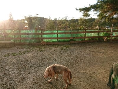 f:id:roukenhome-ann:20181224210241j:plain f:id:roukenhome-ann:20181224210241j:plain