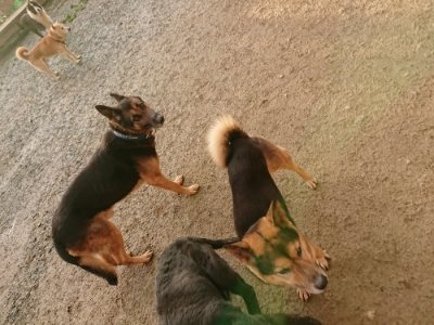 f:id:roukenhome-ann:20181224210257j:plain f:id:roukenhome-ann:20181224210257j:plain