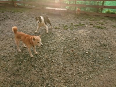 f:id:roukenhome-ann:20181224210334j:plain f:id:roukenhome-ann:20181224210334j:plain