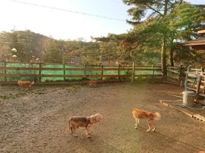 f:id:roukenhome-ann:20181224210416j:plain f:id:roukenhome-ann:20181224210416j:plain