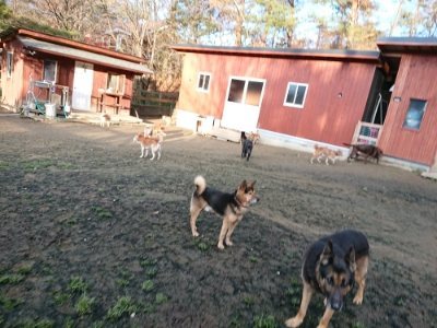 f:id:roukenhome-ann:20181224210426j:plain f:id:roukenhome-ann:20181224210426j:plain