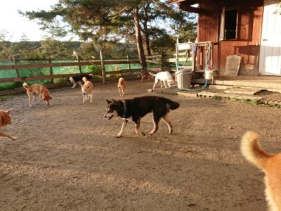 f:id:roukenhome-ann:20181224210443j:plain f:id:roukenhome-ann:20181224210443j:plain