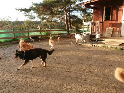 f:id:roukenhome-ann:20181224210449j:plain f:id:roukenhome-ann:20181224210449j:plain