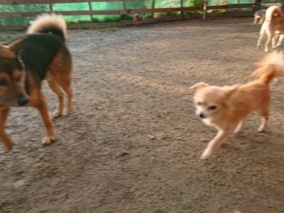 f:id:roukenhome-ann:20181224210753j:plain f:id:roukenhome-ann:20181224210753j:plain