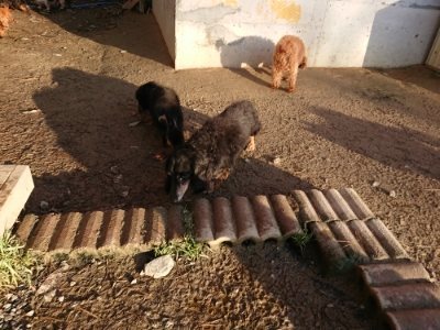 f:id:roukenhome-ann:20181224210922j:plain f:id:roukenhome-ann:20181224210922j:plain