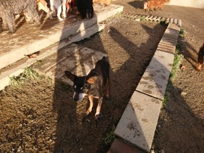 f:id:roukenhome-ann:20181224211303j:plain f:id:roukenhome-ann:20181224211303j:plain