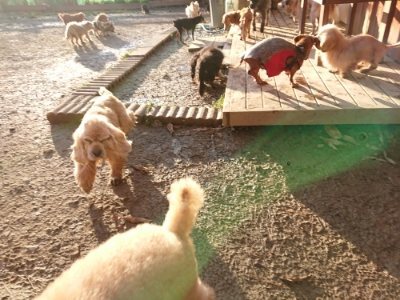f:id:roukenhome-ann:20181224211337j:plain f:id:roukenhome-ann:20181224211337j:plain