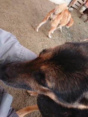 f:id:roukenhome-ann:20181224211354j:plain f:id:roukenhome-ann:20181224211354j:plain
