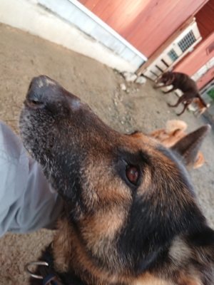 f:id:roukenhome-ann:20181224211416j:plain f:id:roukenhome-ann:20181224211416j:plain
