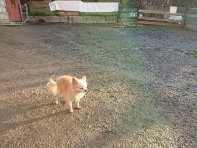f:id:roukenhome-ann:20181224211604j:plain f:id:roukenhome-ann:20181224211604j:plain