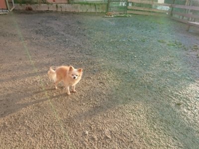f:id:roukenhome-ann:20181224211653j:plain f:id:roukenhome-ann:20181224211653j:plain
