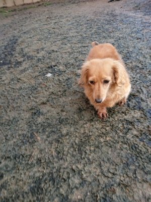 f:id:roukenhome-ann:20181224213123j:plain f:id:roukenhome-ann:20181224213123j:plain