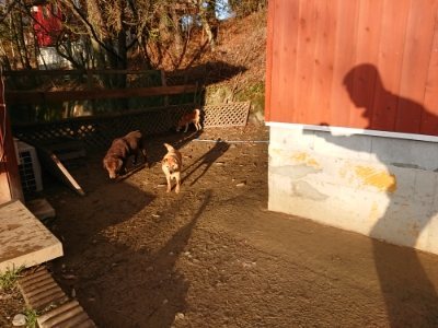 f:id:roukenhome-ann:20181224213207j:plain f:id:roukenhome-ann:20181224213207j:plain