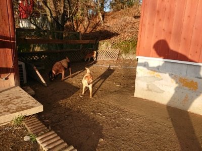 f:id:roukenhome-ann:20181224213226j:plain f:id:roukenhome-ann:20181224213226j:plain