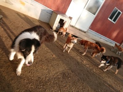 f:id:roukenhome-ann:20181224213434j:plain f:id:roukenhome-ann:20181224213434j:plain