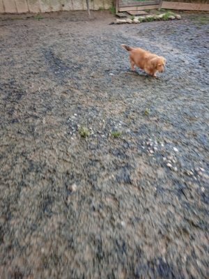 f:id:roukenhome-ann:20181224213441j:plain f:id:roukenhome-ann:20181224213441j:plain